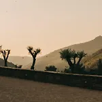 Torel Quinta Da Vacaria - Douro Valley