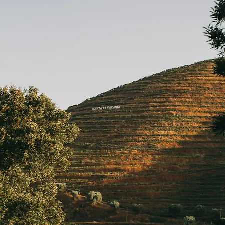 Torel Quinta Da Vacaria - Douro Valley