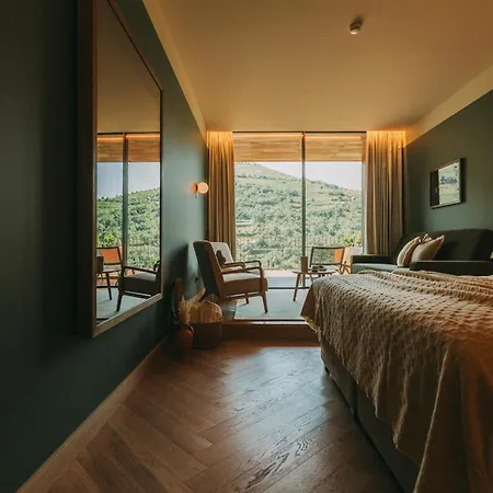 Отель Torel Quinta Da Vacaria - Douro Valley Пезу-да-Регуа
