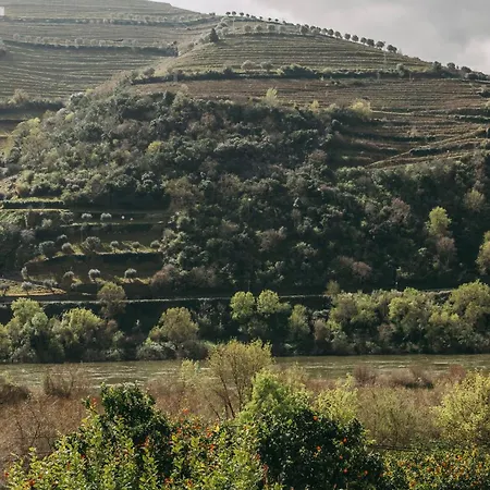 Torel Quinta Da Vacaria - Douro Valley 호텔