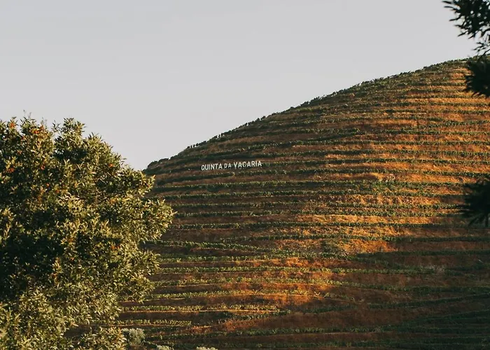 Torel Quinta Da Vacaria - Douro Valley