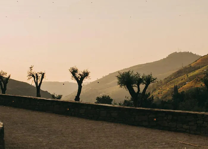 Torel Quinta Da Vacaria - Douro Valley