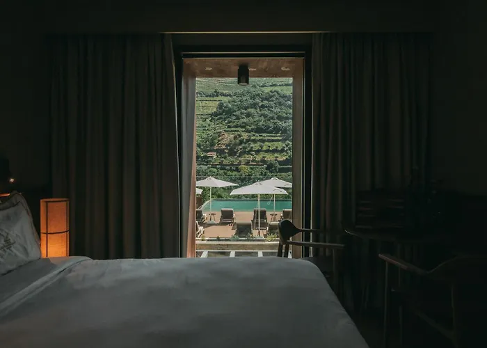 Torel Quinta Da Vacaria - Douro Valley فندق