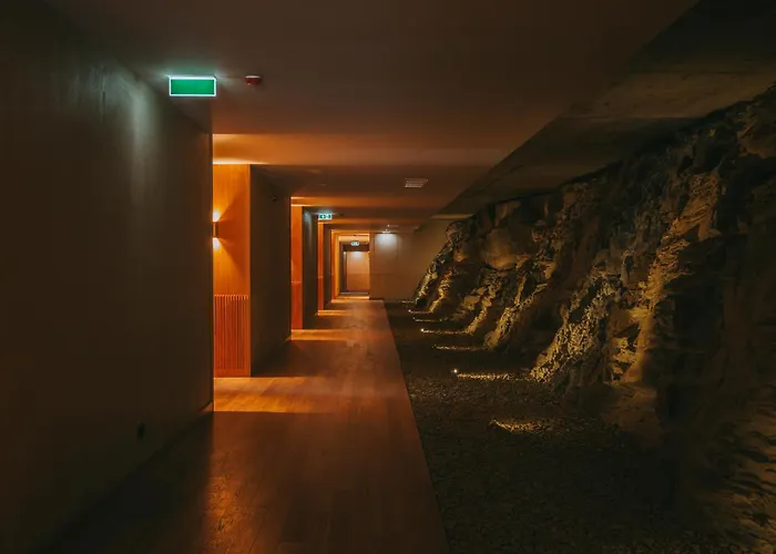 Torel Quinta Da Vacaria - Douro Valley 5* Peso da Regua