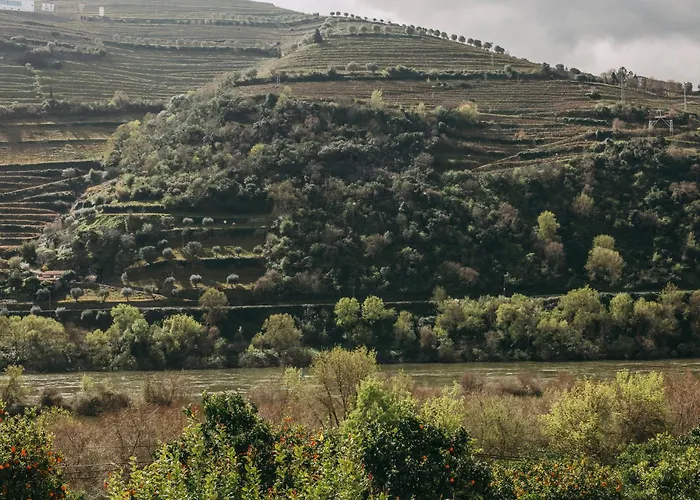 Torel Quinta Da Vacaria - Douro Valley فندق